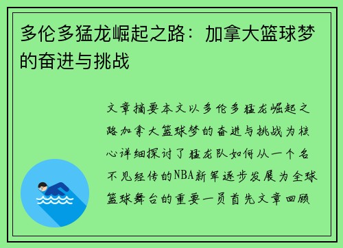 多伦多猛龙崛起之路：加拿大篮球梦的奋进与挑战
