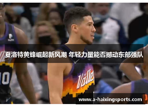 夏洛特黄蜂崛起新风潮 年轻力量能否撼动东部强队